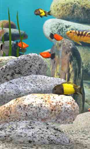 Fish Farm 3 Fond d'écran animé-Simulateur Aquarium 3
