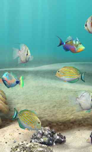 Fish Farm 3 Fond d'écran animé-Simulateur Aquarium 4