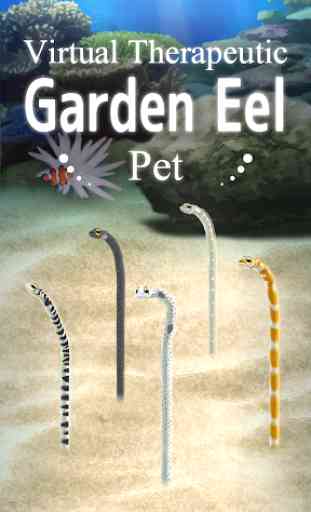 Garden Eel Pet 1