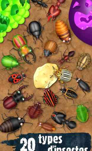 Hexapod jeux insecte coléoptères fourmis punaises 1