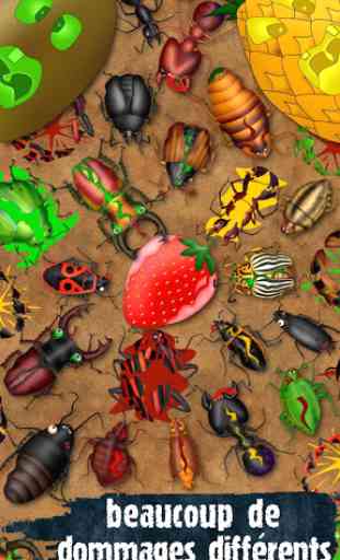Hexapod jeux insecte coléoptères fourmis punaises 4