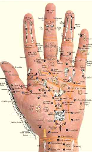 Learn Acupressure Points Acupuncture Tips 2