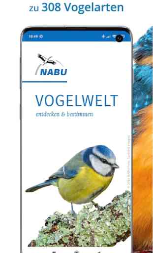 NABU Vogelwelt - Vögel Entdecken und Bestimmen 1