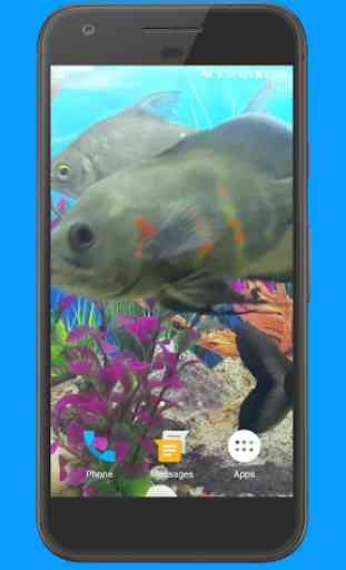 Oscar Fish Aquarium Video 3D 4