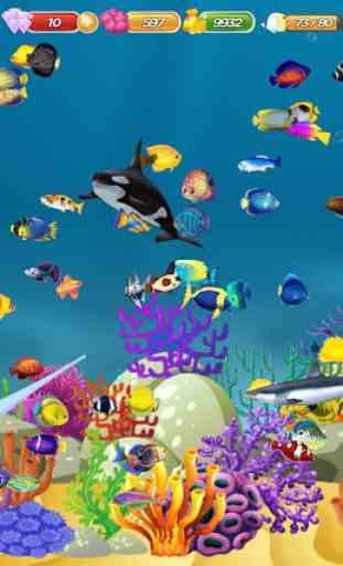 Pisciculture - Mon Aquarium 1