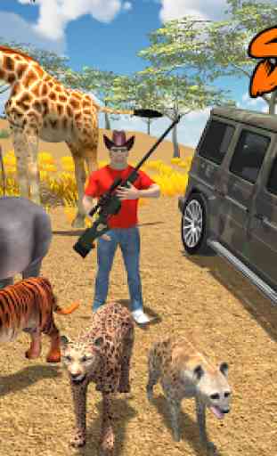 Safari Сhasse 1