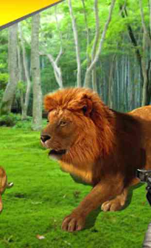 Survie du cerf à la chasse au lion sauvage 2