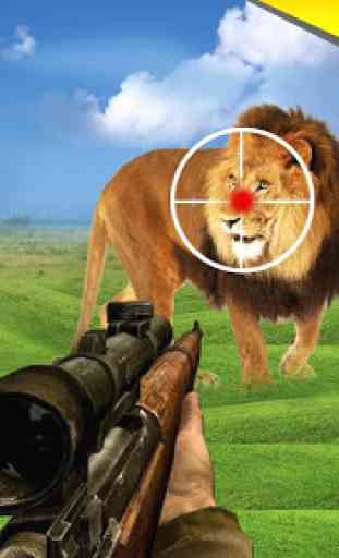 Survie du cerf à la chasse au lion sauvage 4
