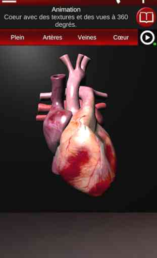 Système circulatoire en 3D (anatomie) 2