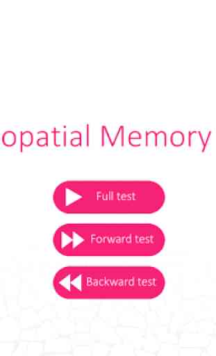 Visuospatial Memory Test 1