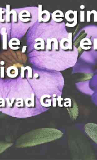 Bhagavad Gita Quotes 1