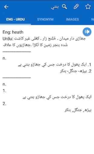 English-Urdu Dictionary Offline 4