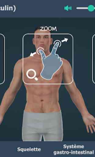Le corps humain (masculin), 3D éducative, VR 1