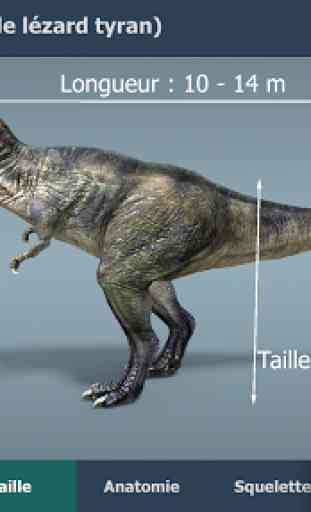 Le Tyrannosaure Rex 3D éducative VR 1