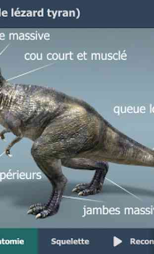 Le Tyrannosaure Rex 3D éducative VR 2