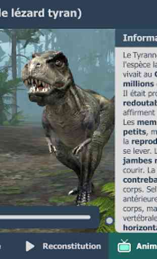 Le Tyrannosaure Rex 3D éducative VR 3