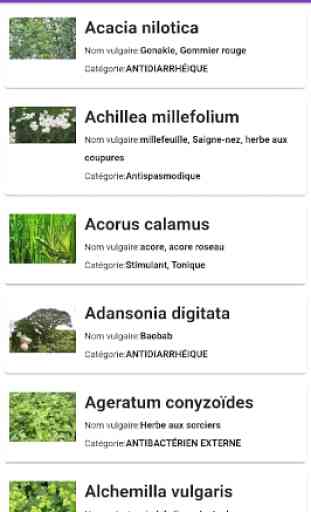 Plantes médicinales 2