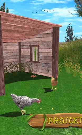 Simulateur de famille de poule: poulets doux 2