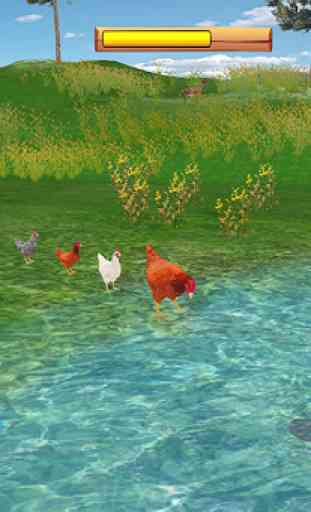 Simulateur de famille de poule: poulets doux 4