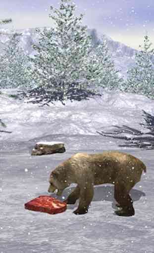 Survie d'une famille d'ours polaires 3
