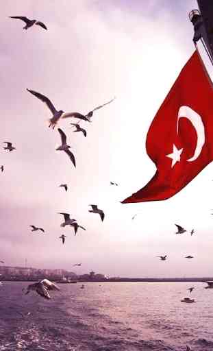 Turquie Drapeau Fonds d'écran 4
