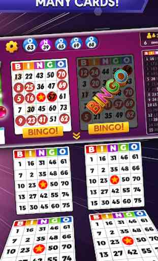 Bingo - Jeux de bingo gratuits hors ligne 1