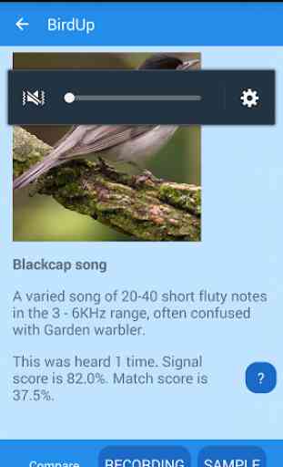 BirdUp - Identifier oiseaux 2