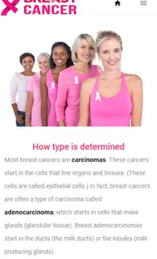 Breast Cancer: Information about breast cancer 3