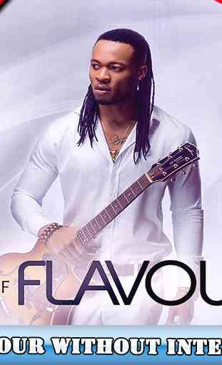 Flavour - the best songs - without internet 2019 1