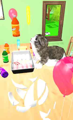 Kitten Cat Simulator:Cute cat SMASH Kids Room 3