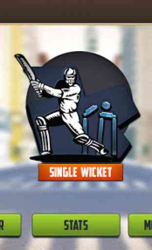 Tournoi de cricket de rue 2019: Coupe du Monde T20 4