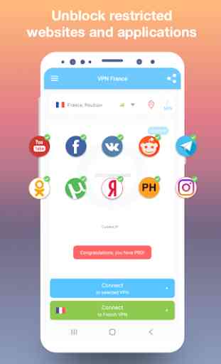 VPN France - get free French IP 2