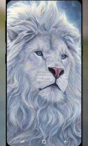 White Lion Wallpaper HD 2