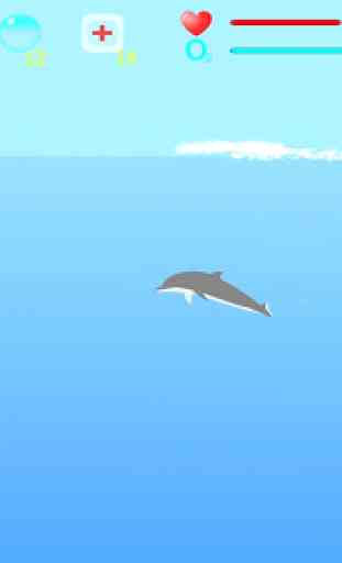 Dolphin Adventure 4