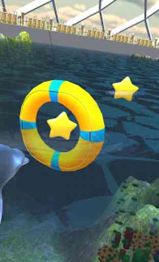 Dolphin Aquarium: Fun Sports 3D Challenge 1