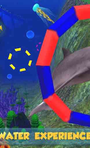 Dolphin Aquarium: Fun Sports 3D Challenge 2