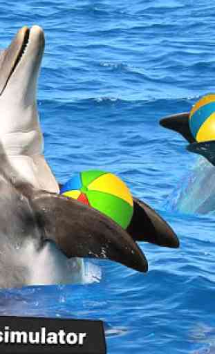 Eau parc dauphin montrer eau monde dauphin Jeux 3