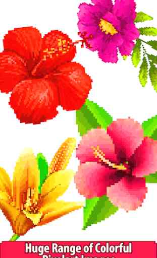 Flowers Color by Number:Pixel Art,Sandbox Coloring 2