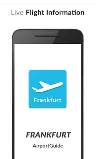 Frankfurt Airport Guide - Flight information FRA 1