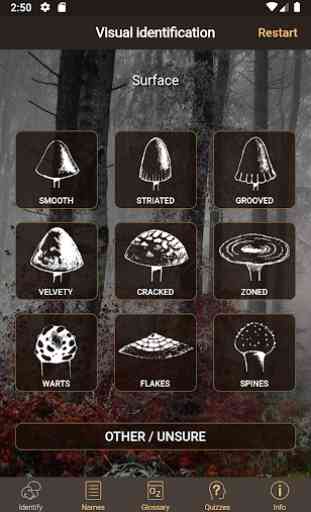 iFunch - Mushrooms identification and catalog 3