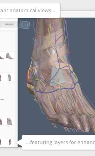 Leg and Foot: 3D RT - Sub 2