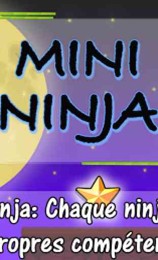 Mini Ninja 1