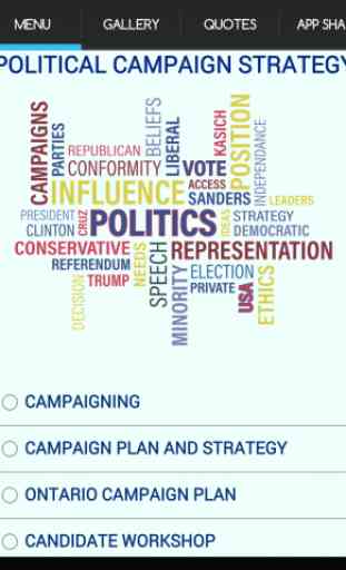 Political Campaign Strategy 2