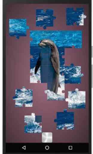 Real Dolphins Game : Jigsaw Puzzle 2019 2