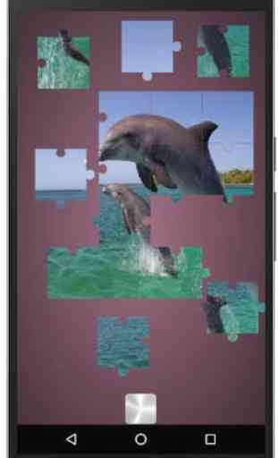Real Dolphins Game : Jigsaw Puzzle 2019 3