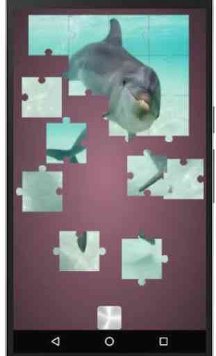 Real Dolphins Game : Jigsaw Puzzle 2019 4