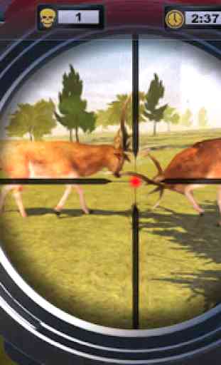Safari cerf chasseur 2019 jeu de chasse au cerf 2