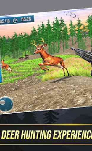 Wild Deer Hunting Adventure :Animal Shooting Games 1