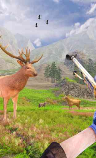 Wild Deer Hunting Adventure :Animal Shooting Games 3