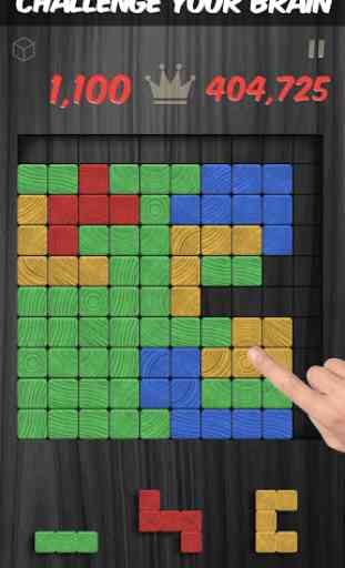 Woodblox Puzzle - Wood Block Wooden Puzzle Game 2
